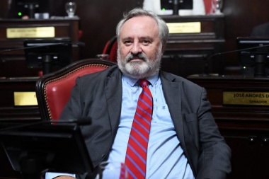De la Torre renunció a su cargo en el Senado por diferencias con el acuerdo de Juntos con Kicillof