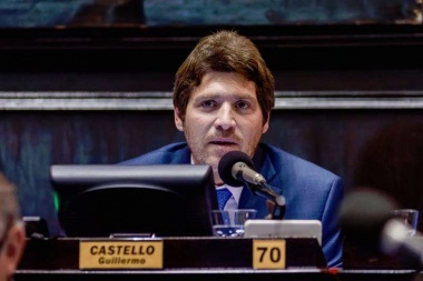 Castello celebró que los ministros no puedan nombrar a los familiares