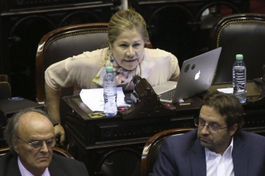 Camaño reclamó excluir a De Vido con un "juicio político institucional"