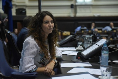 Merquel: “Las tarifas y el valor del dólar son un claro ejemplo del ajuste”