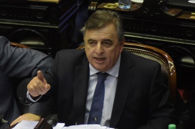 Mario Negri: "No tenemos un problema de acné ideológico por discutir con el Fondo"