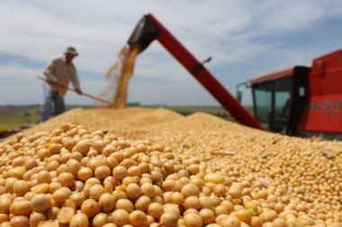 Confirman que retención a la soja subirá hasta 33% y no habrá cambios en trigo y maíz