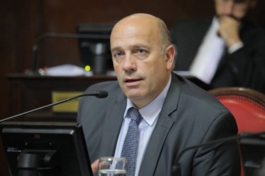 Andrés De Leo: “Vidal sigue siendo una gran referente, pero ahora va haber horizontalidad en las decisiones”