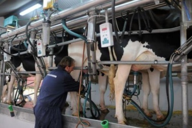 Reclaman “medidas urgentes” por la crisis del sector lácteo