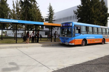 Vuelven a circular el Rondín Universitario y el Ecobus en La Plata