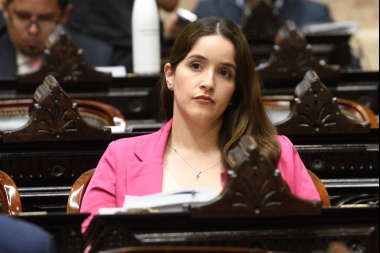 Diputados de La Libertad Avanza presentaron un proyecto para derogar la ley de aborto legal