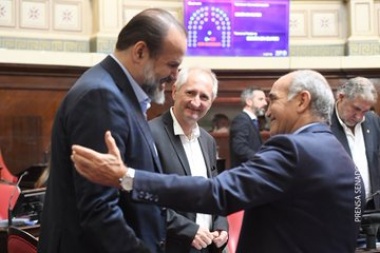 Pese al rechazo de la oposición, el Senado habilitó la designación de 42 funcionarios judiciales