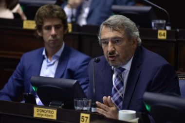 D´Onofrio dijo que Vidal especula políticamente en vez de gobernar