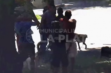 Cayeron siete limpiavidrios con drogas y un arma en la plaza céntrica de La Plata