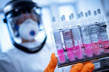 El Gobierno reasignó partidas desde la AFI hacia Salud y Ciencia