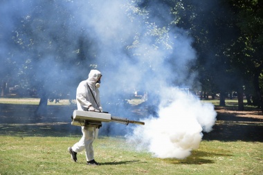 El Municipio intensifica la fumigación para prevenir el Dengue