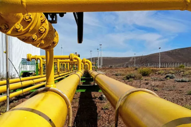 Guzmán viaja a Brasil para negociar la importación de gas