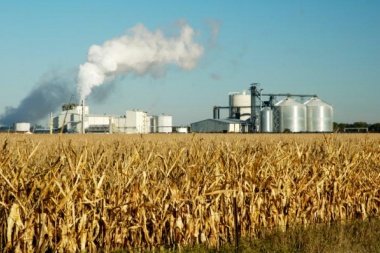 Presentan un proyecto para impulsar la producción de biocombustibles 