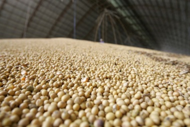 Evalúan un dólar a $200 para las exportaciones del agro