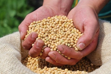 El Gobierno lanzó el Programa de Compensación para Pequeños y Medianos Productores de Soja y Maíz 