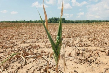 Nación declaró la emergencia y el desastre agropecuario en once provincias