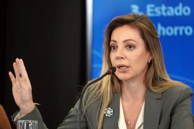 Royón descartó la quita de la concesión a Edesur