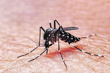 Confirmaron la primera muerte por coinfección de dengue en la Argentina