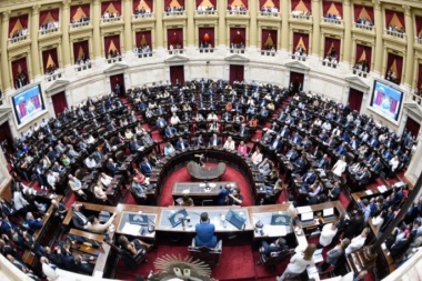 Diputados aprobó la suspensión de las PASO