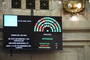 El Senado aprobó la suspensión de las PASO