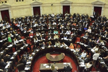 Detectan 200 ñoquis y diversas irregularidades en Diputados