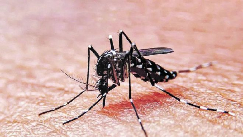 Confirmaron la primera muerte por coinfección de dengue en la Argentina
