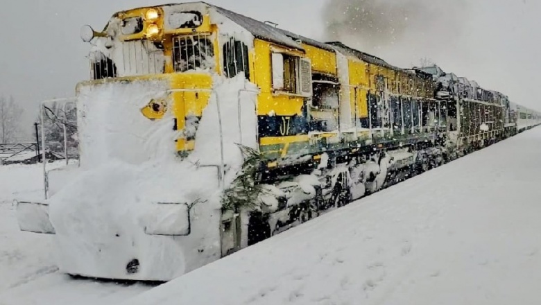 Anuncian el regreso del tren Buenos Aires - Bariloche