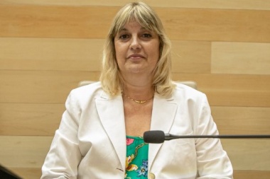 La Legislatura de Córdoba suspendió por seis meses a Patricia De Ferrari por sus dichos sobre los “Falcon verde”
