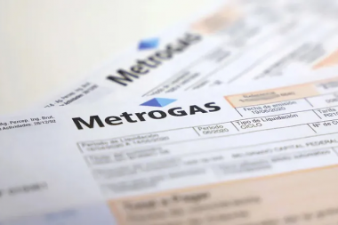 Subsidio de luz y gas: Anses habilitó turnos para el trámite presencial
