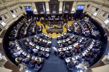 Los legisladores oficialistas respaldaron la intervención de Vicentín