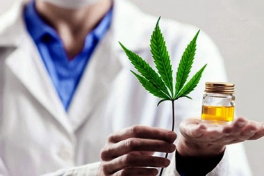 El 17,6% de las personas que usan cannabis lo hacen con fines medicinales