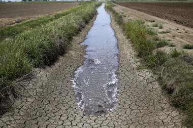 Economía da por declarada la emergencia agropecuaria por sequía en 64 partidos bonaerenses