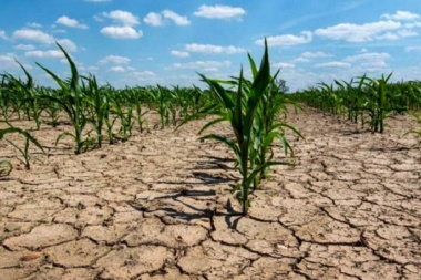 Sequía: el Gobierno invertirá $70.000 millones en créditos y fondos rotatorios para productores