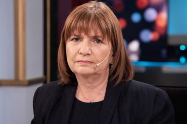 Patricia Bullrich a la dirigencia de la UCR: "Radicales júntense, déjense de joder"