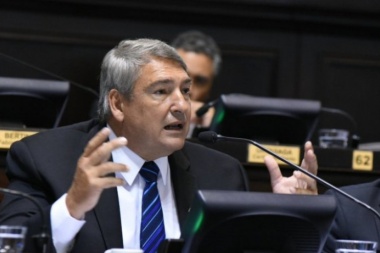 D´Onofrio: “Vidal no tiene un gobierno con perspectiva de género”