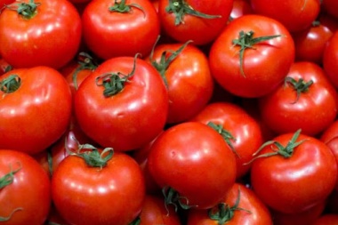 Posponen la Fiesta del Tomate Platense
