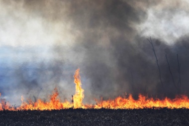 Once provincias sufren incendios forestales