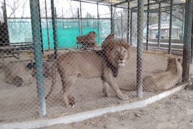 El Gobierno dispuso la clausura del Zoo de Luján