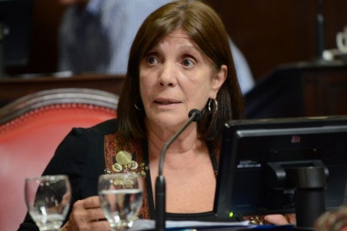 Teresa García responsabilizó a Vidal por "entorpecer" la ley de financiamiento