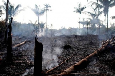 ¿De qué hablamos cuando hablamos de ecología/medio ambiente?