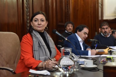El Concejo Deliberante platense presentó un protocolo de actuación ante violencia de género