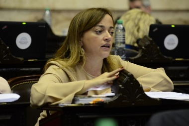 Cecilia Moreau: “Macri busca quedar habilitado para reprimir la protesta social”