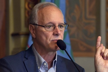 "Si uno mira los números, creemos que la mejor candidata es Cristina", señaló Gollan