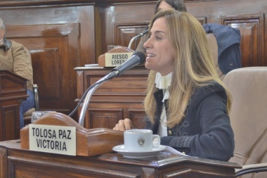 Tolosa Paz cargó duro contra las empresas que rompen las veredas