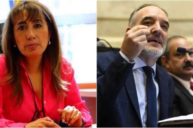 Consejo de la Magistratura: juraron Roxana Reyes y Martín Doñate 