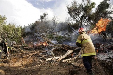 Un incendio destruyó ocho hectáreas de bosques en el sur de Villa Gesell