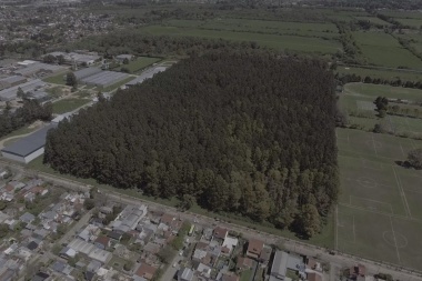La Justicia frenó la venta del pulmón verde de Llavallol