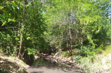 El Municipio trabajan en la recuperación ambiental del Arroyo Rodríguez
