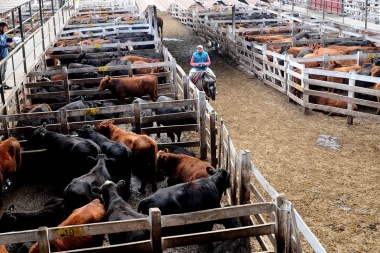Congelan el precio de la carne hasta el próximo martes
