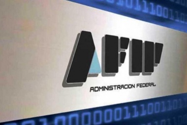 La AFIP prorrogó hasta marzo el régimen de facilidades de pago y la suspensión de embargos
